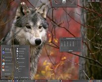grey wolf Protector..