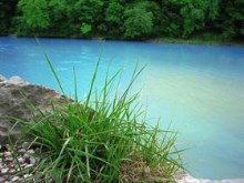 Nature Stills: Blue River