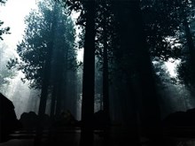 Lost in Amazon
