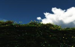 Edge of Beauty