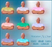 Manatee Mr Clean