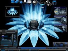 Emploding_Sunflower