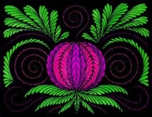 Midnight Bloom