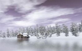 Winter house