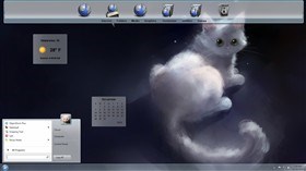 Lolly Cat
