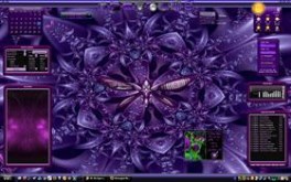Purple Lover