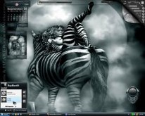 Zebra Girl
