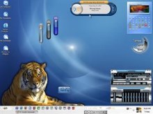Cybertiger