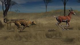 Hunting Time