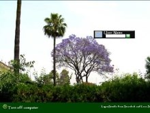 Summer in Seville