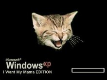 I Want My Mama