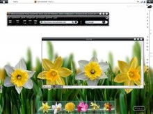 Aero& Flowers