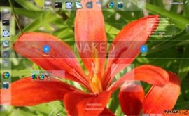 Naked Docks
