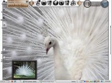 Isn't He Beautiful...