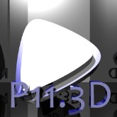 P11.3D
