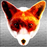 FireFox?