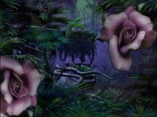 Jungle Rose_vista7