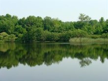 Fishin' Lake