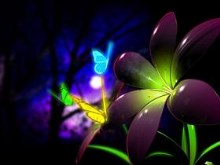 Efflorescence