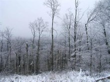 upstate new yoork this winter