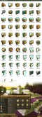 The Mayan Civilization