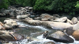 Pulled Muscle Creek