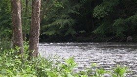 Watching The River Run