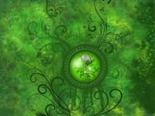 Absinthe