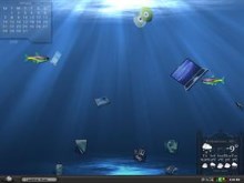 Feeding My Fishies