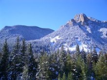 Winter Wonder Land