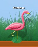 Flamingo