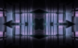 the chamber
