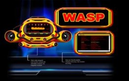 Wasp