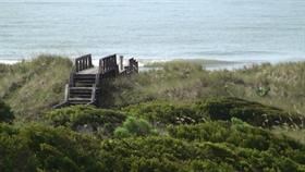 Across the Dunes I