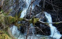 Waterfall in Nature II 