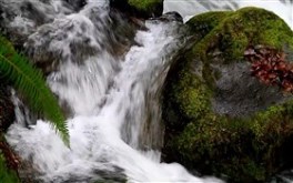 Waterfall Splash