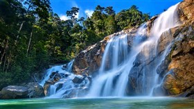 Wonder Falls
