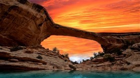 Desert_Glory