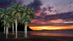 Sunset_Tropical_Haven