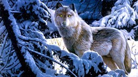 Snowy_Winter_Wolfs