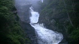 Evergreen_Forest_Waterfalls