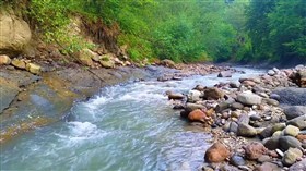 Mountain_GreenForest_Creek