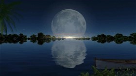 One_Moon-Lit_Night