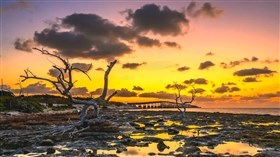 Yellow Sky Bridge