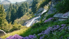 High Mountain Flower Waterfall