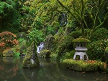 Zen_Garden