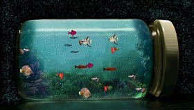Fantastic_Aquarium