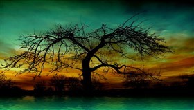 Gorgeous_Evening