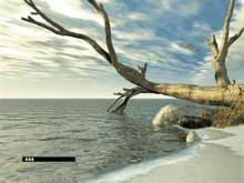 Dead Tree