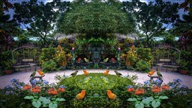 Island Garden Birds